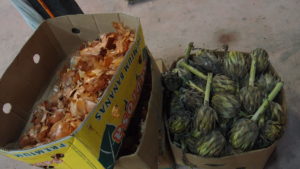 Epluchures d'oigons et artichauds, déchets récupérés chez le marchand de légumes à Angelmó