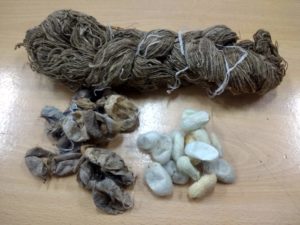 En haut, soie sauvage filée, en bas, à gauche cocons de soie sauvage, à droite soie domestique naturellement colorés, provenant de Madagascar