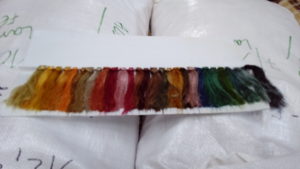 Echantillons de couleurs végétales obtenues sur soie par Aranya Natural - Fondation Indienne