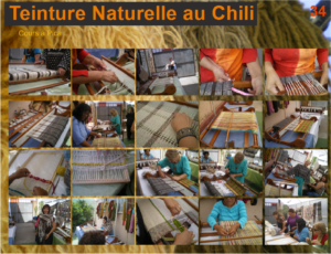 Ateliers - formations de teintures naturelles et de tissage à Pica, près de Iquique, Nord du Chili