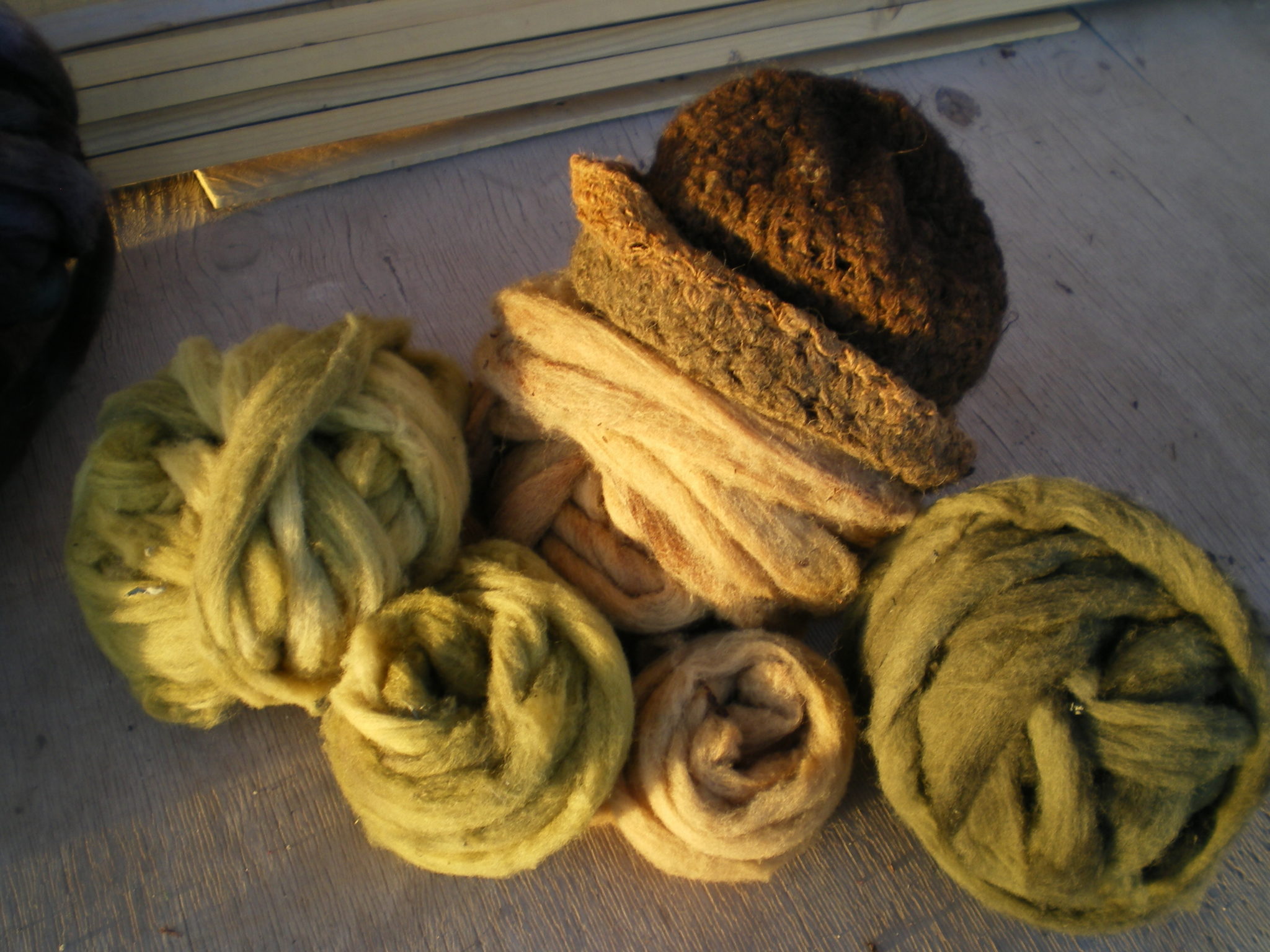 Teindre la laine et le tissu avec des plantes naturelles