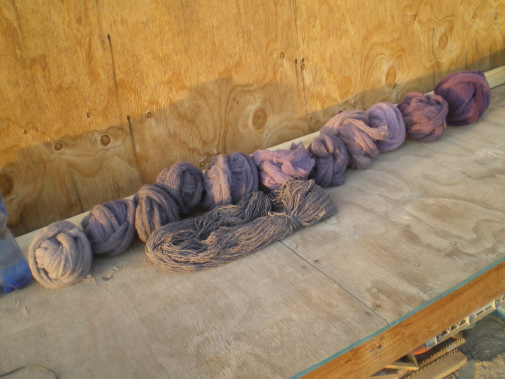 Série de laines teintes à la cochenille et au bois de Campêche, arbres que j'espère connaître quand j'irai au Mexique