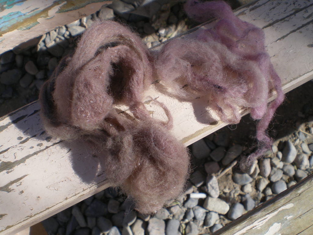 Ecahntillons de laine teints avec les locos et locates