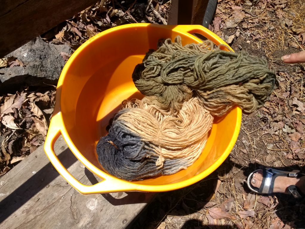 Laine teinte à l'eucalyptus modifiée au fer (gris) et au cuivre (vert)