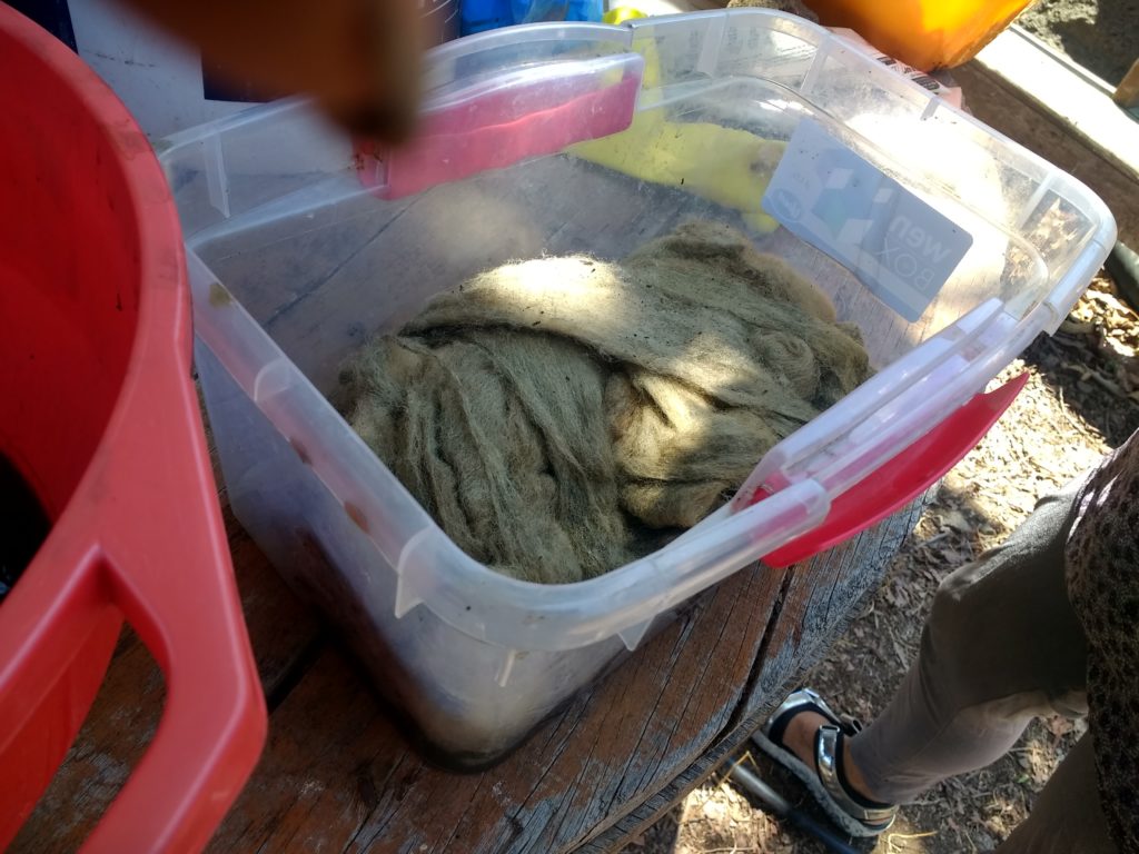 Ruban teint à l'eucalyptus modifié au sulfate de cuivre