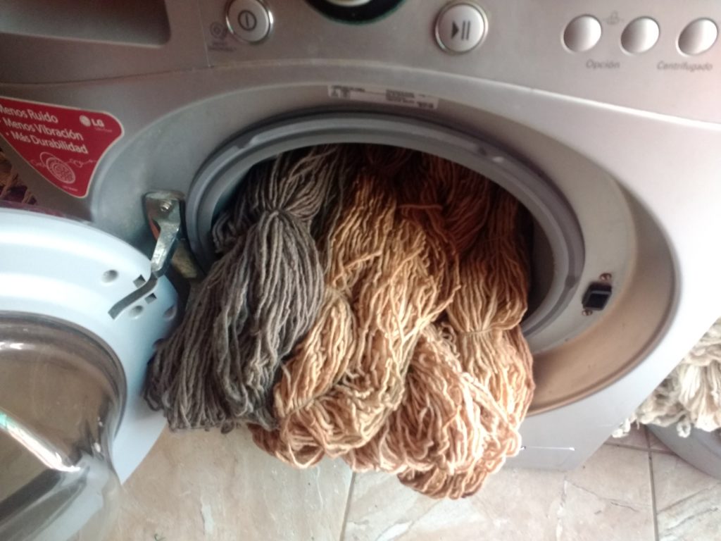 Laines teintes sortant de la machine à laver