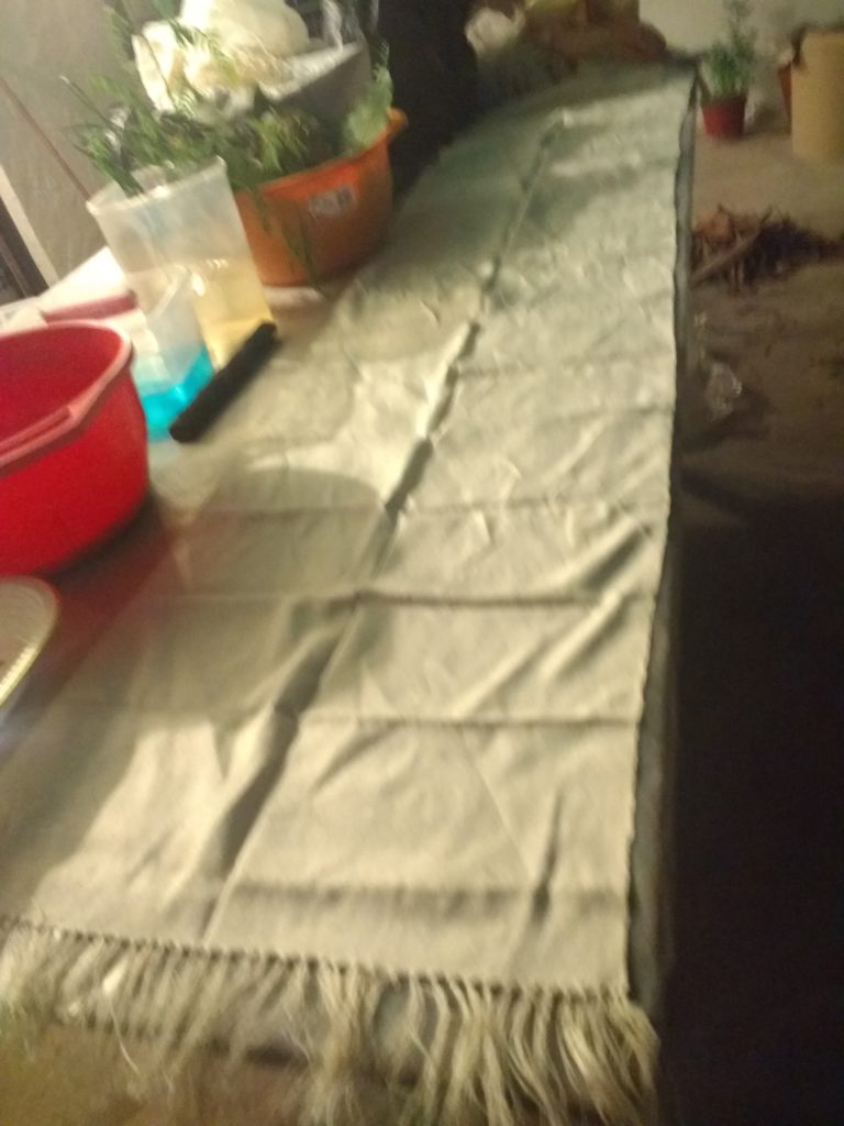 Travail de nuit, préparation d'ecoprint, celui-ci sur soie de Madagacar