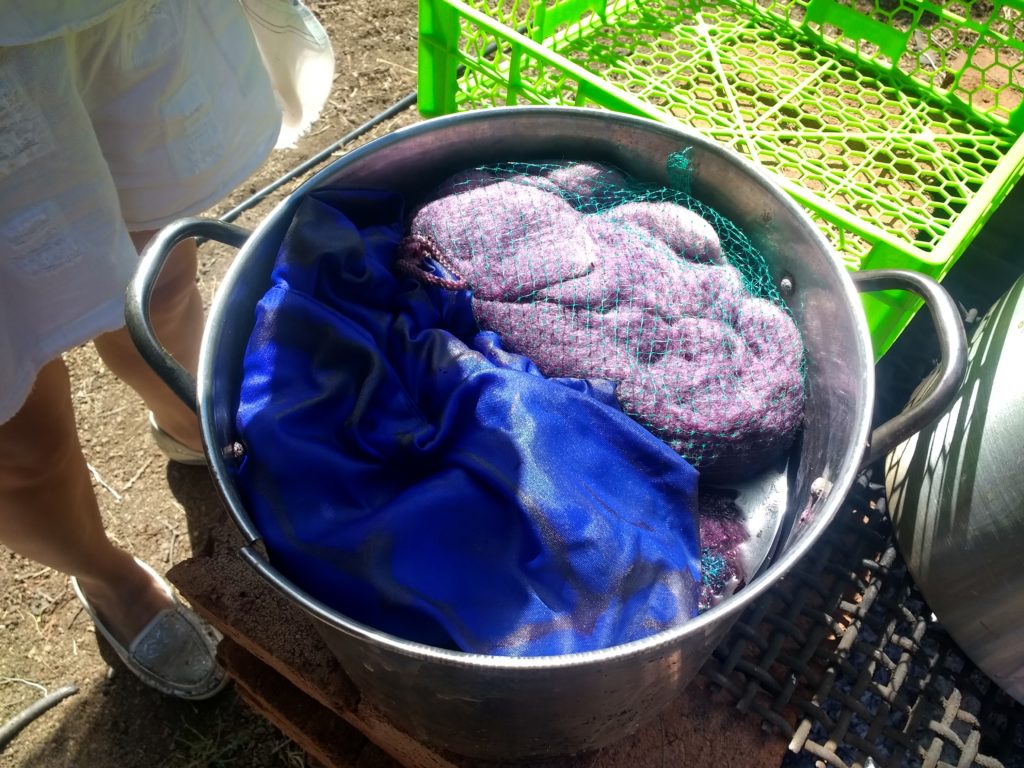 Le bois de Campêche est enfermé dans le sac bleu pour qu'il ne s'accroche pas dans la laine