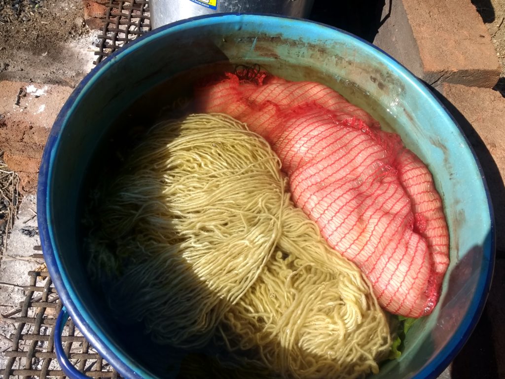 Vieux bain de noyer, avec petit ajout de nouveaux branchages dans la casserole cabossée, repeinte