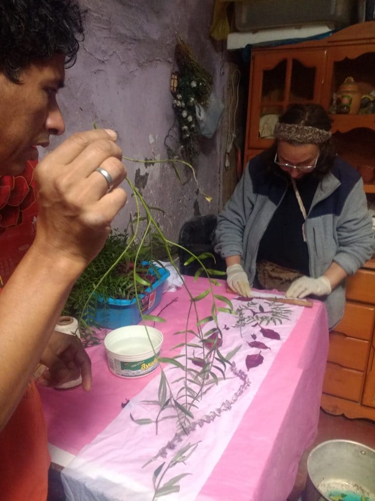 Tests d'ecoprint, Segundo tient une feuille de schinus molle, arbre très courant à Cajamarca, qui teint joliment en jaune