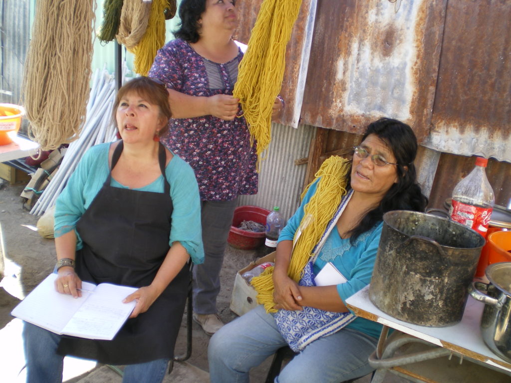 Lors d'un atelier de teinture à Pica, Nord du Chili, ces femmes découvrent les possibilités des "mauvaises herbes"