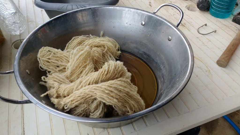 Lavage de la laine à la lessive de lierre pour aller au Village Lacustre