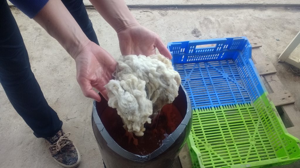 Lavage de la laine á la lessive de cendre