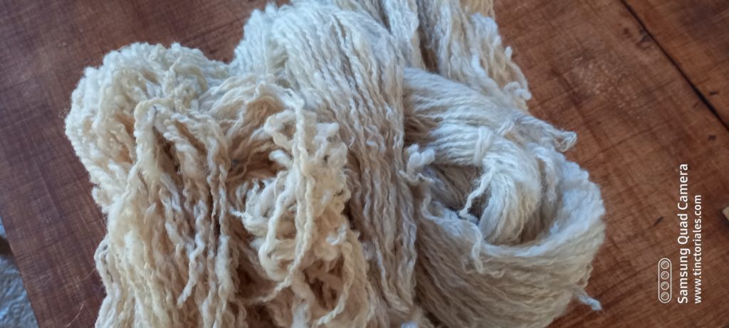 laines shropshire et thones marthod