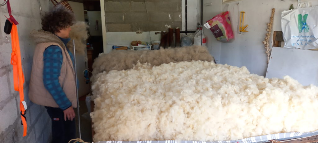 matelas de laine - couche de crin