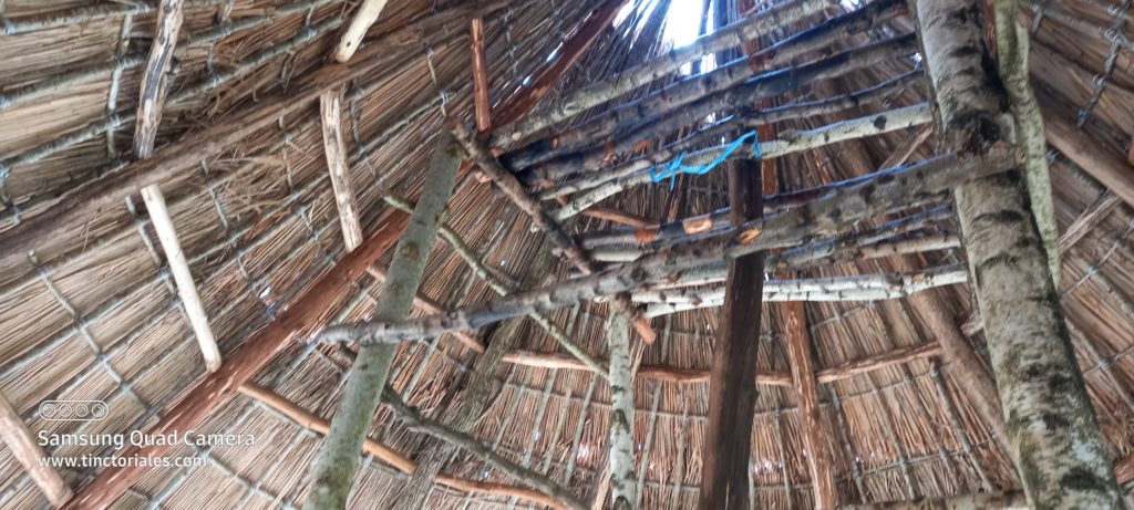 Vue intérieure d'une "petite" hutte kanak que Grégory est entrain de construire