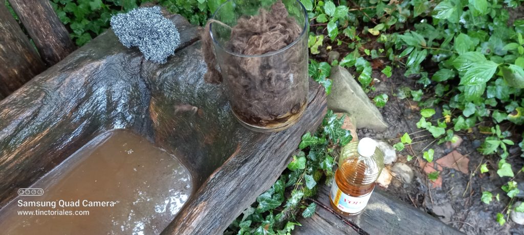 Essai de récupération avec du vinaigre des poils de bisons traités à la chaux au Rassemblement Préhistoriqu  