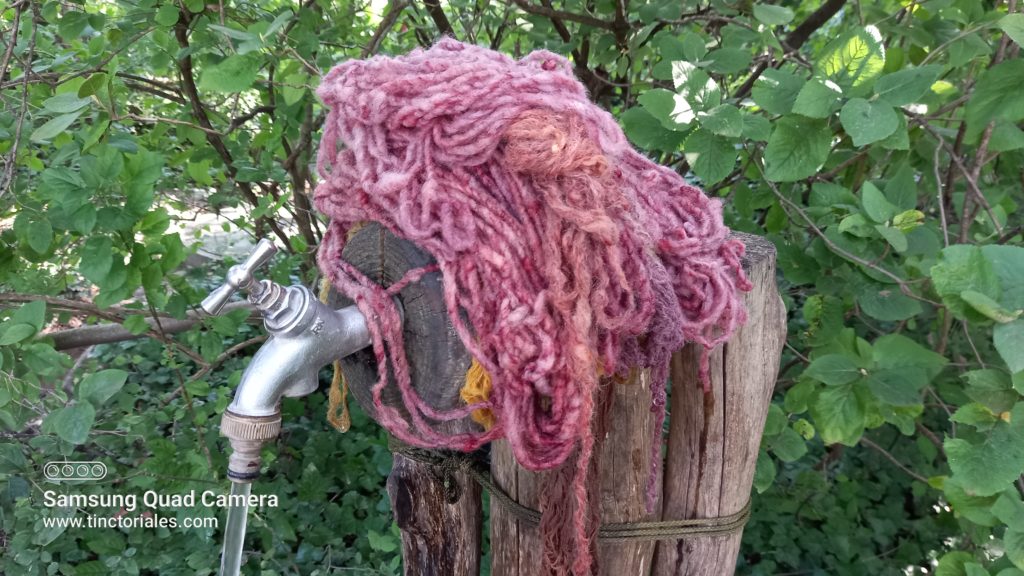 Voici les fibres après rinçage, elles avaient séché auparavant sur l'arbre à laines. De nouvelles couleurs pour la Fête de la Préhistoire