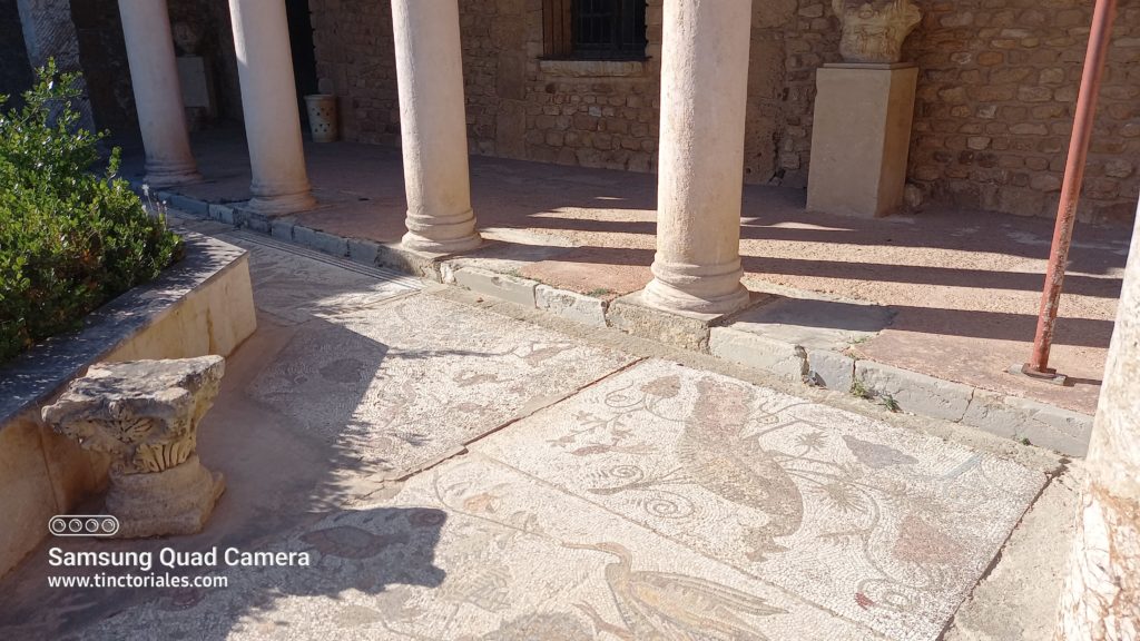 Mosaîque d'une magnifique villa romaine à Carthage, Tunisie
