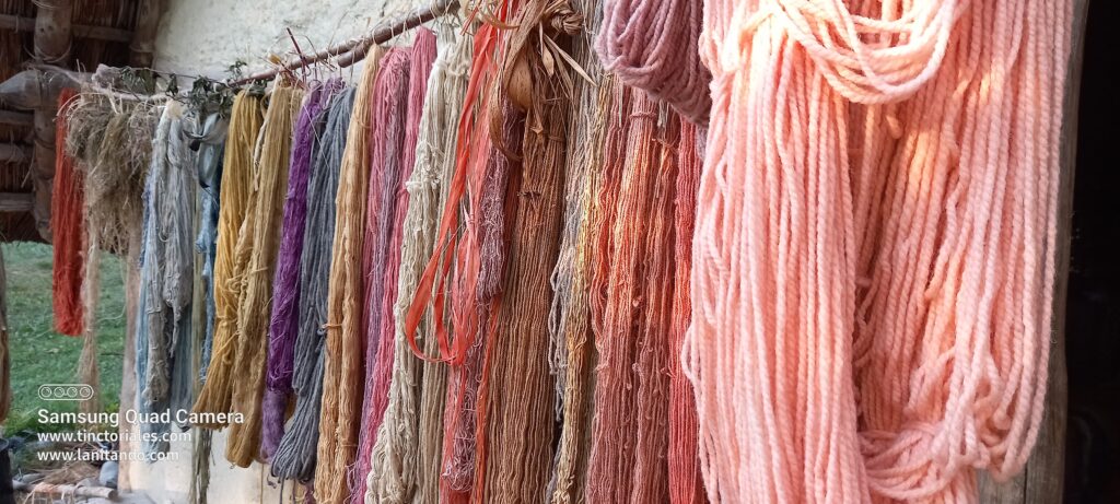 Fibres teintes en 2023, les laines ont bien pris la couleur, ce n'est pas le cas des fibres vég´etales, travail invisible mal fait, mauvais résultat