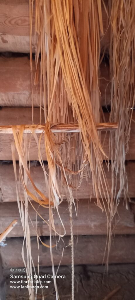 Liber de tilleul à Birka, Suède, reconstitution de village viking