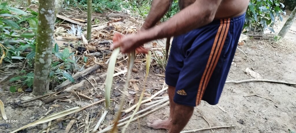 Récupération de liber