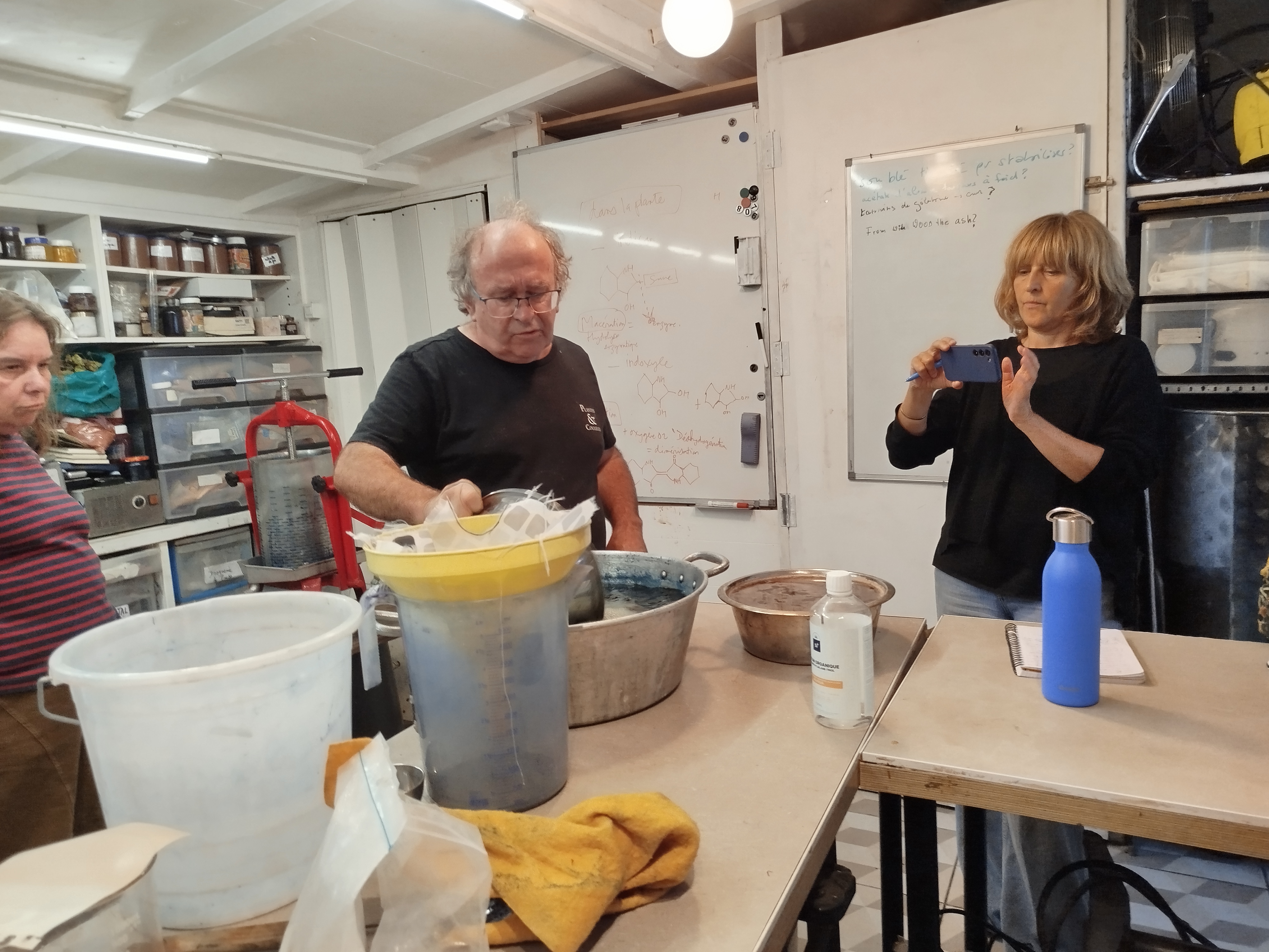 Préparation d'extrait d'indigo, à base de Persicaria de Bretagne