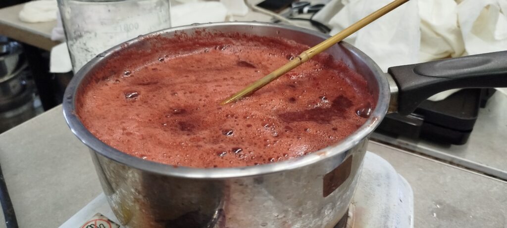 Bain de garance des teinturiers (Rubia tinctoria)