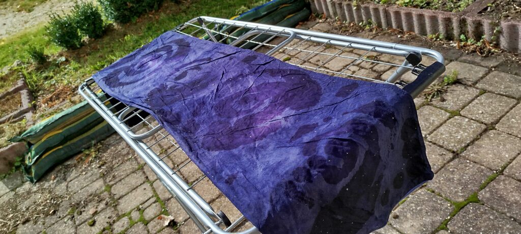 Teinture au bois de Campêche arbre
