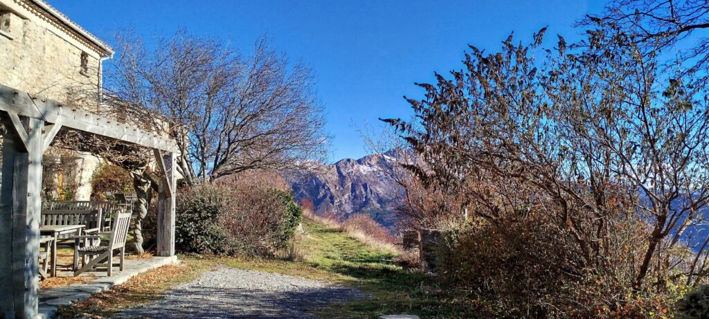 Autre arbre à l'École des Vivants