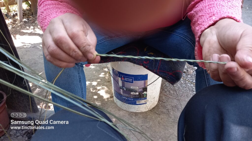 Cordon en fibre de pita, plante chilienne de la familles des agaves