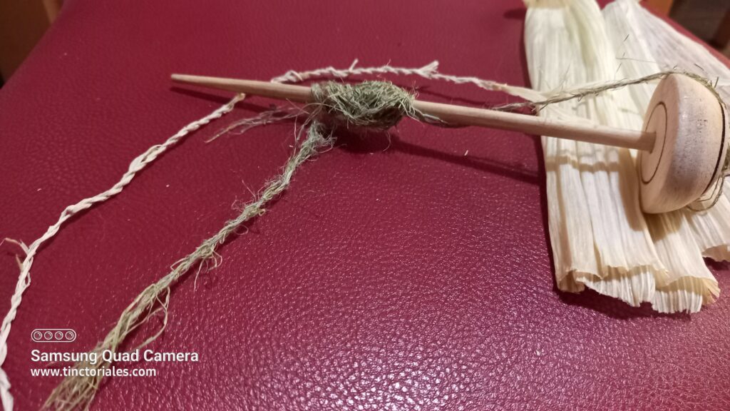 Cordon de fibres de feuilles protectrices de l'épi de maïs et filature de fibres d'orties